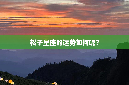 松子星座的运势如何呢？