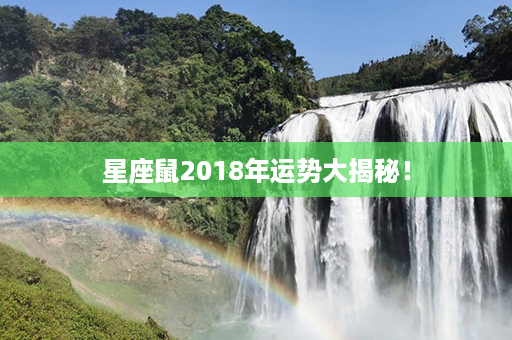 星座鼠2018年运势大揭秘！