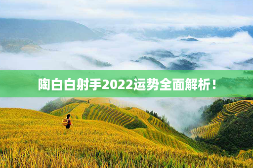 陶白白射手2022运势全面解析！