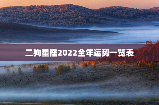 二狗星座2022全年运势一览表