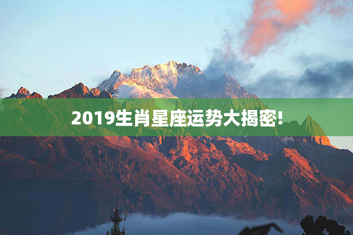 2019生肖星座运势大揭密!