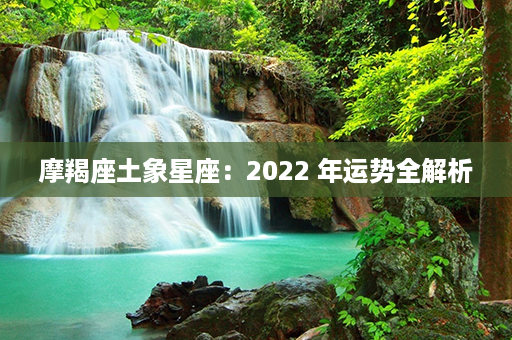 摩羯座土象星座：2022 年运势全解析