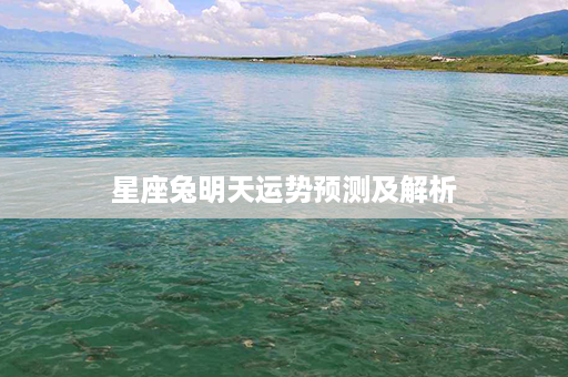 星座兔明天运势预测及解析