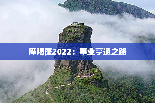 摩羯座2022：事业亨通之路