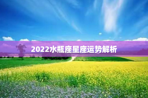 2022水瓶座星座运势解析