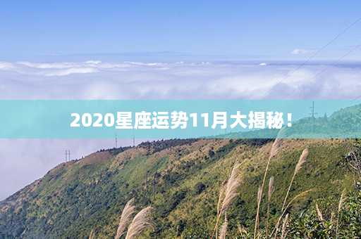 2020星座运势11月大揭秘！