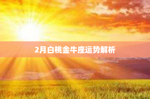 2月白桃金牛座运势解析