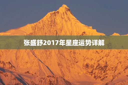 张盛舒2017年星座运势详解