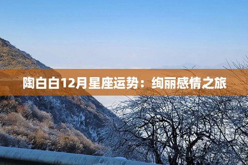 陶白白12月星座运势：绚丽感情之旅