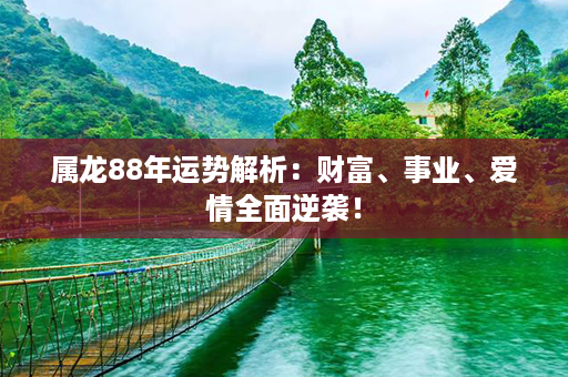 属龙88年运势解析：财富、事业、爱情全面逆袭！