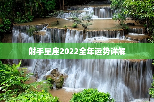 射手星座2022全年运势详解