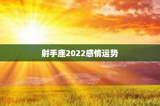 射手座2022感情运势