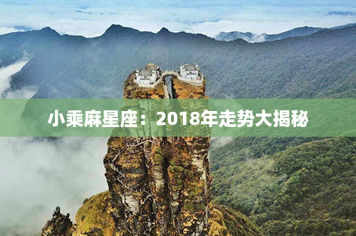 小乘麻星座：2018年走势大揭秘