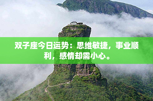 双子座今日运势：思维敏捷，事业顺利，感情却需小心。