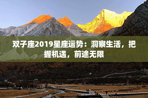 双子座2019星座运势：洞察生活，把握机遇，前途无限