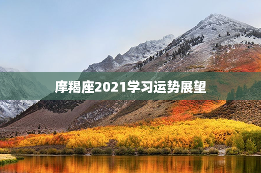 摩羯座2021学习运势展望