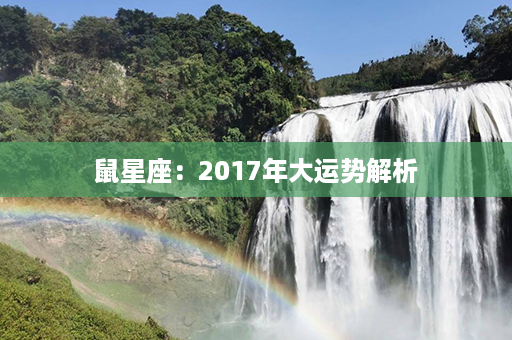 鼠星座：2017年大运势解析