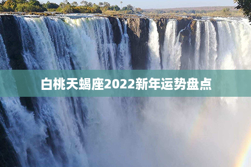 白桃天蝎座2022新年运势盘点