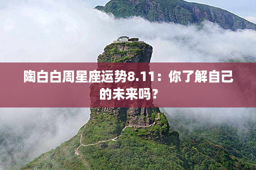 陶白白周星座运势8.11：你了解自己的未来吗？