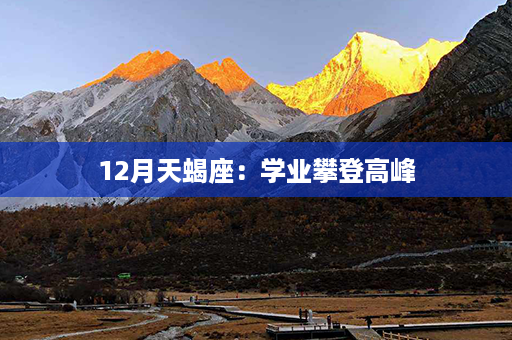 12月天蝎座：学业攀登高峰