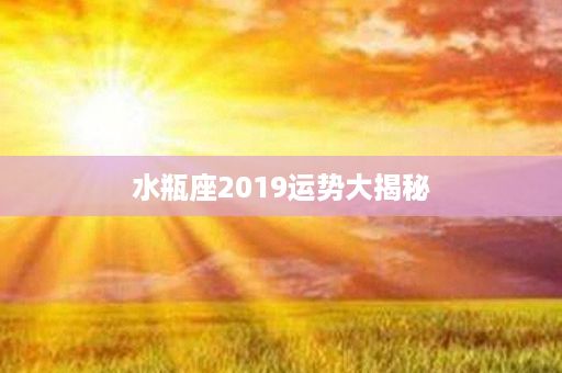 水瓶座2019运势大揭秘